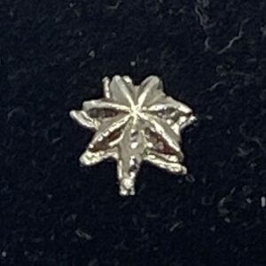 Australian Star of Courage Rosette