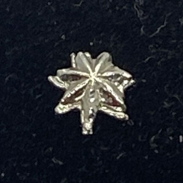 Australian Star of Courage Rosette