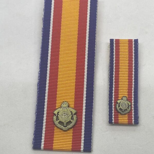 NT Fire Remote Service Ribbon