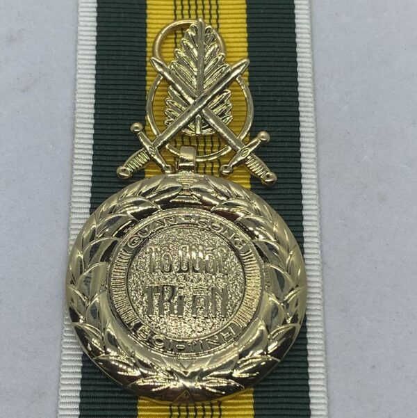 Vietnam Military Merit medal F/S