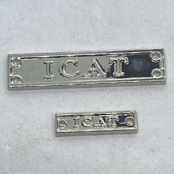 ICAT - Clasp (AASM75+) Copy