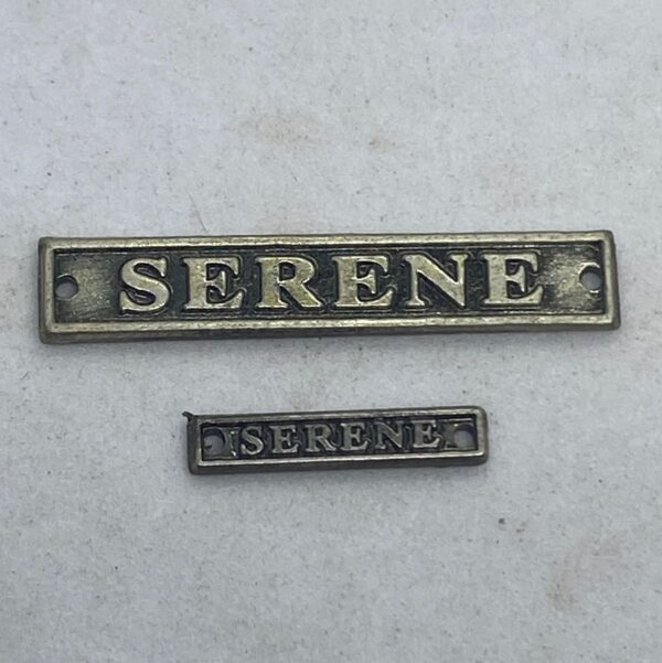 SERENE - Clasp (AFP)