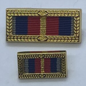 Border Force Bravery Group Citation (Restricted Item)