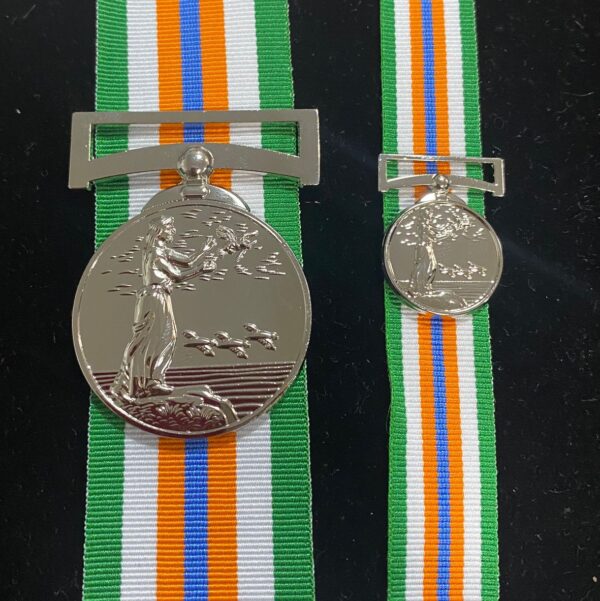 United Nations Peacekeepers Medal (Irish)