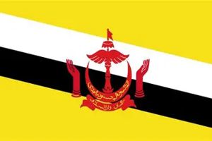 Brunei Ribbons