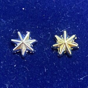 ABF Federation Star - Rosette (Border Force)