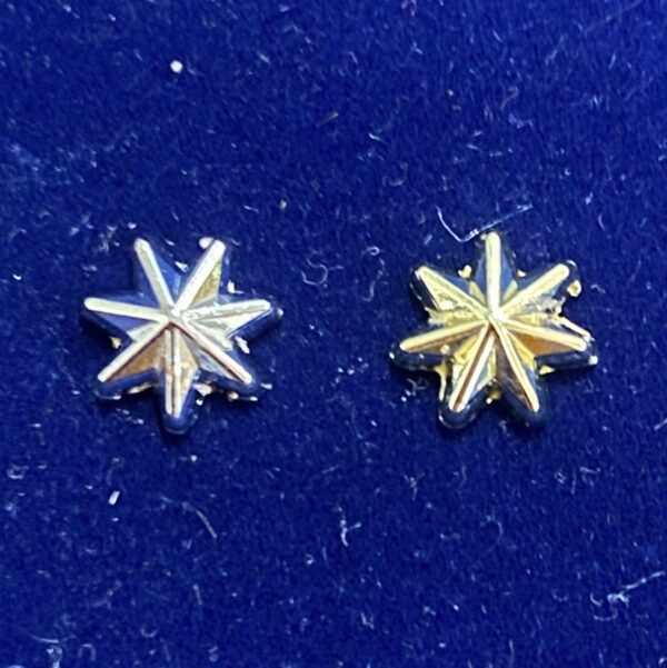 ABF Federation Star - Rosette  (Border Force)