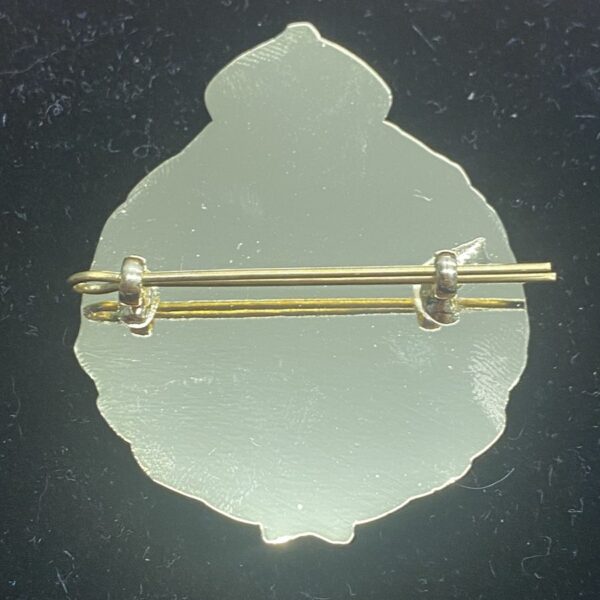 QLD Ambulance Cap Badge 50mm x 40mm "1991 - Vintage"