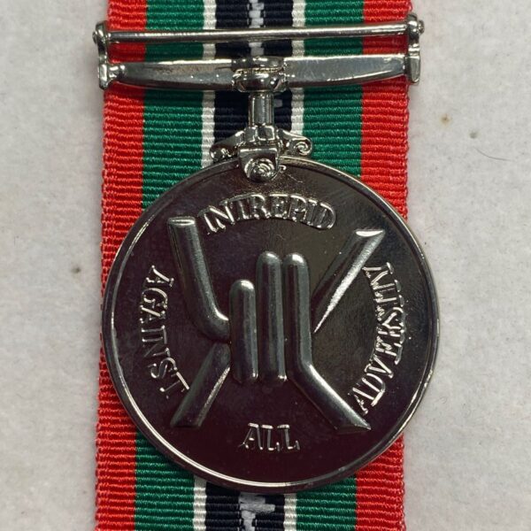 International POW Medal