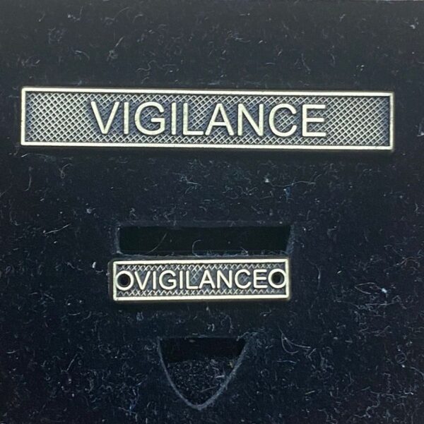 NATO Vigilance Clasp