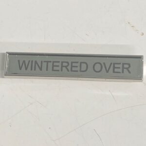 Antarctic Research Clasp - Wintered Over