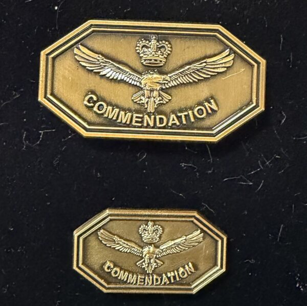 RAAF Group Commendation
