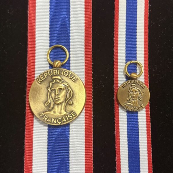 French Medal for the Protection of the Territory (Médaille de la protection militaire du territoire)
