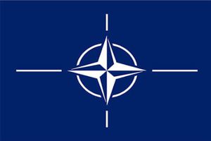 Nato Ribbon