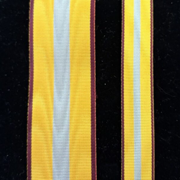 Medal For Assistance to the Defense of Ukraine Ribbon