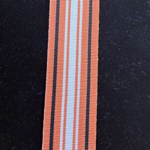 NT police Group Citation Ribbon