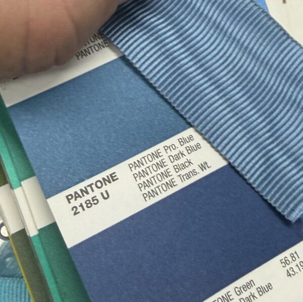 USA Medal of Honor Patch and Ribbon (Pantone 2185 u)