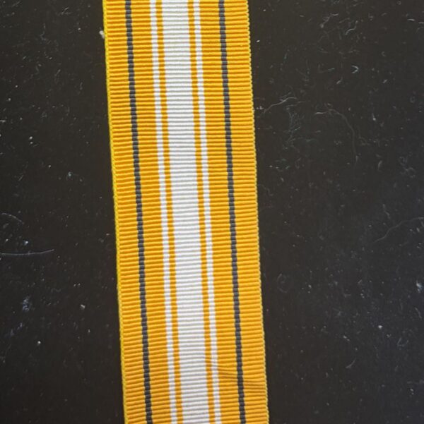 NT police Group Citation Ribbon Reject (Too Light)