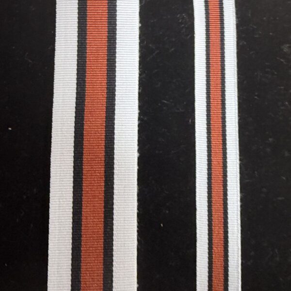 NT Tri Services Medal Ribbon