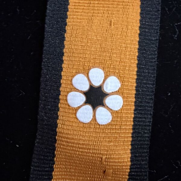NT Desert Rose Ribbon (orange background)