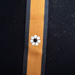 NT Desert Rose Ribbon (orange background)