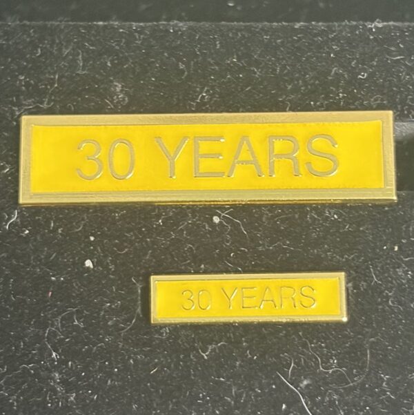 Victoria Ambulance Mobile Intensive Care Clasp - MICA  (yellow)